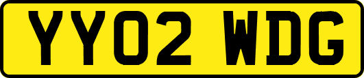 YY02WDG