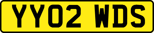 YY02WDS