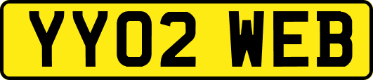 YY02WEB