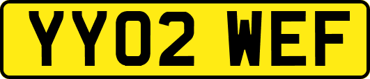 YY02WEF