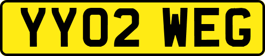 YY02WEG
