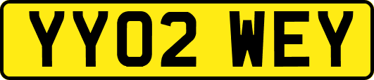 YY02WEY