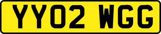 YY02WGG