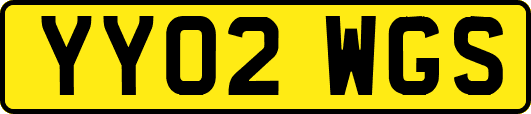 YY02WGS