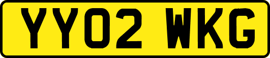 YY02WKG
