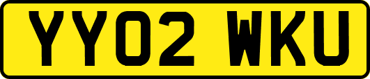 YY02WKU