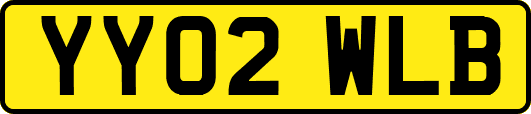YY02WLB