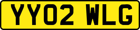 YY02WLG