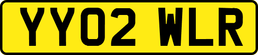YY02WLR