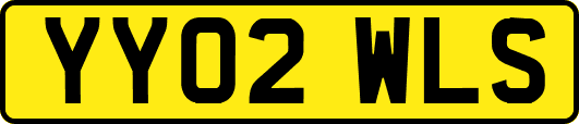 YY02WLS
