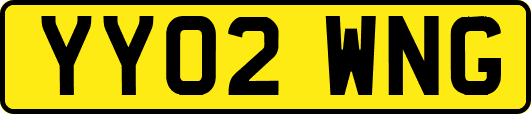 YY02WNG