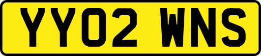 YY02WNS