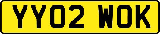 YY02WOK