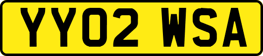 YY02WSA