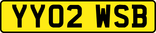 YY02WSB