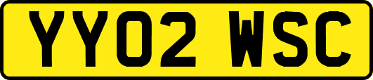 YY02WSC