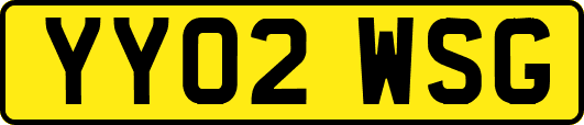YY02WSG
