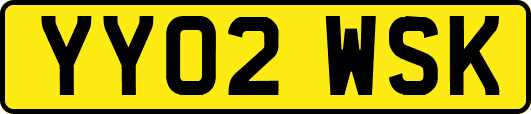 YY02WSK