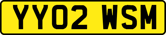 YY02WSM