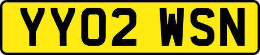 YY02WSN