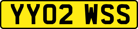 YY02WSS