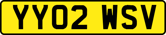 YY02WSV