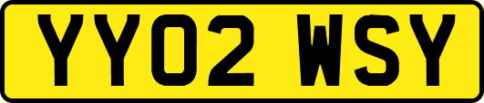 YY02WSY