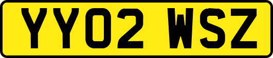 YY02WSZ