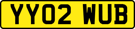 YY02WUB
