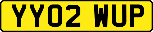 YY02WUP
