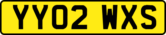 YY02WXS