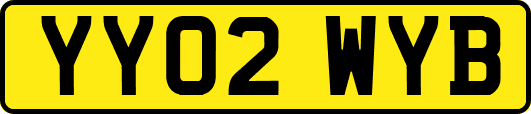 YY02WYB