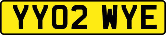 YY02WYE
