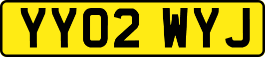 YY02WYJ