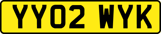 YY02WYK