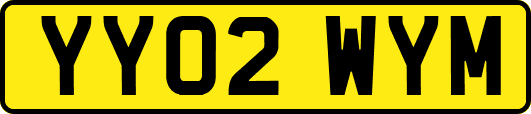 YY02WYM
