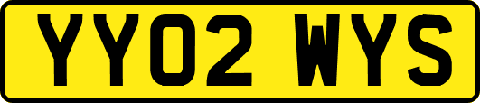 YY02WYS