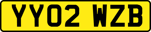 YY02WZB