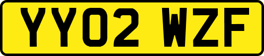 YY02WZF