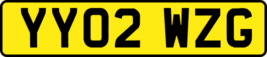 YY02WZG