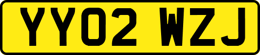 YY02WZJ