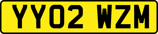YY02WZM