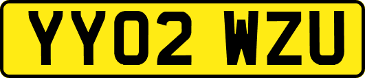 YY02WZU