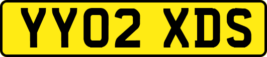 YY02XDS