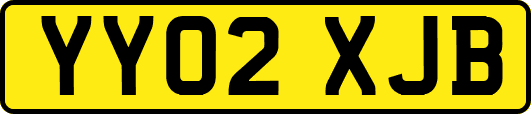 YY02XJB