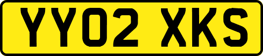 YY02XKS