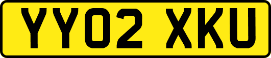 YY02XKU