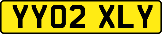 YY02XLY