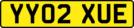 YY02XUE
