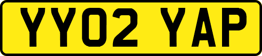 YY02YAP